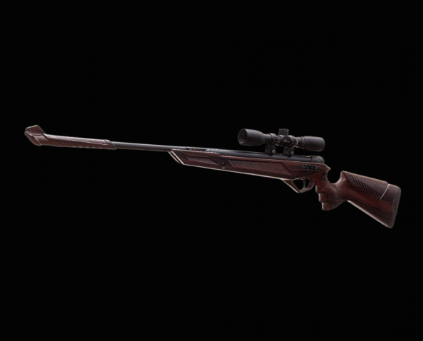 Accumax W1 wood Stock
