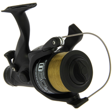 Load image into Gallery viewer, Angling Pursuits TT 60 - 4BB Carp Runner Reel with 10lb Line and Spare Spool
