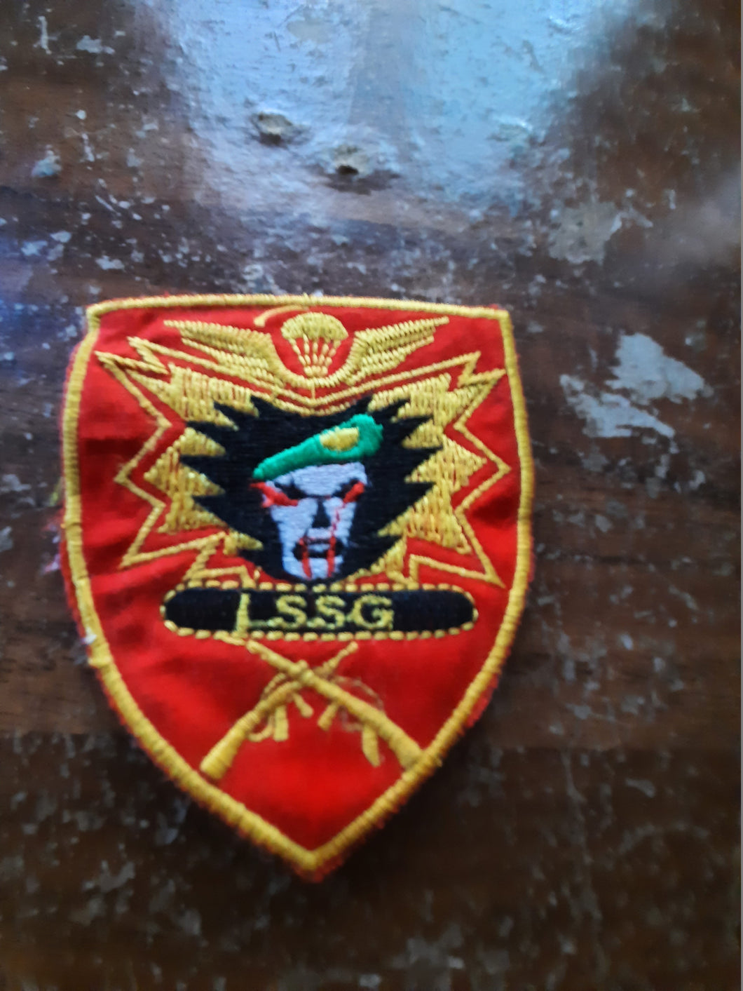 Vietnam war Special ops LSSG patch